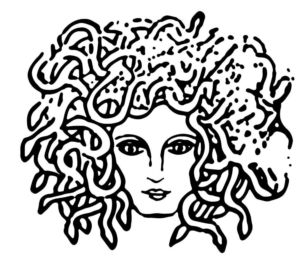 Medusa Duomo Guest House Nápoly Kültér fotó